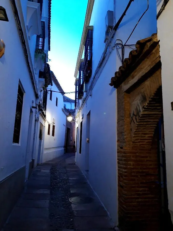 La Mirada De La Juderia Apartment Cordoba 0*,